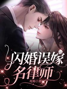 闪婚误嫁名律师