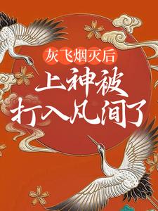 灰飞烟灭后，上神被打入凡间了