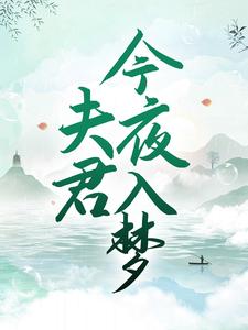 夫君今夜入梦