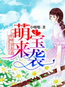 萌宝来袭：妈咪别想逃