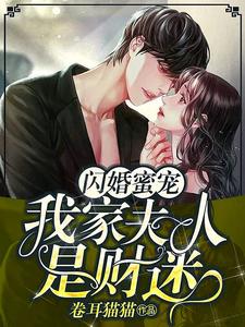 闪婚蜜宠：我家夫人是财迷