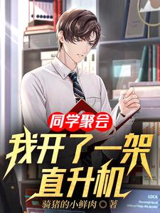 同学聚会：我开了一架直升机