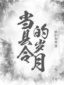 当县令的岁月
