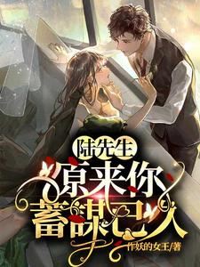 陆先生，原来你蓄谋已久