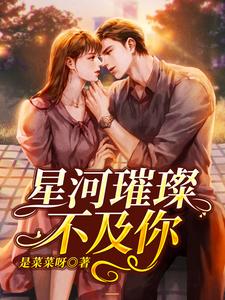 星河璀璨不及你