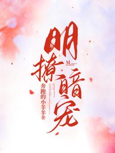 明撩暗宠