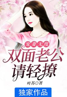 宠妻无度：双面老公请轻撩