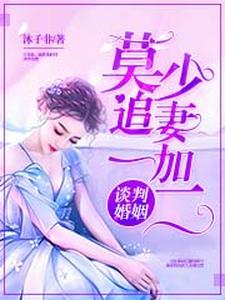 谈判婚姻：莫少追妻一加二