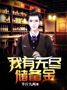 我有无尽储备金