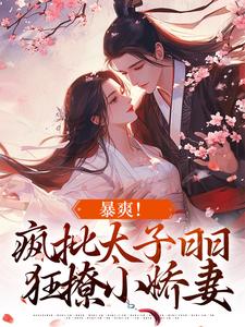暴爽！疯批太子日日狂撩小娇妻