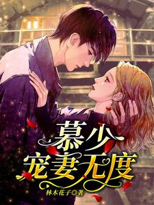 慕少宠妻无度