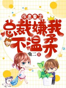 悍妻重生：总裁嫌我不温柔