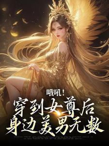 哦吼！穿到女尊后身边美男无数