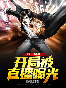我，宗师，开局被直播曝光