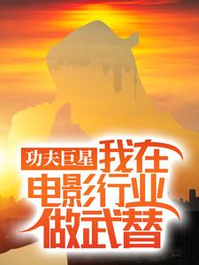 功夫巨星：我在电影行业做武替