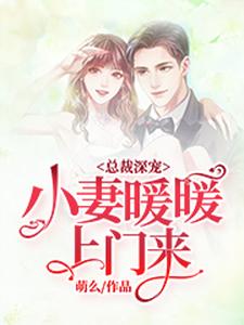 总裁深宠：小妻暖暖上门来