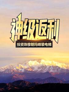 神级返利：投资珠穆朗玛峰装电梯