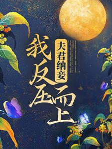 夫君纳妾，我反压而上