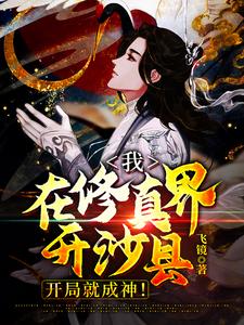 我，在修真界开沙县，开局就成神！