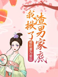 被贬妻为妾后，我掀了渣男家底