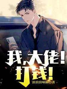我，大佬！打钱！