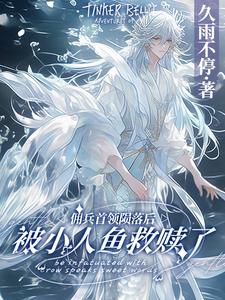 佣兵首领陨落后，被小人鱼救赎了