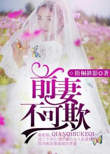 前妻，不可欺