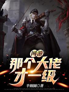 网游：那个大佬才一级