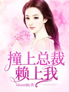 撞上总裁赖上我