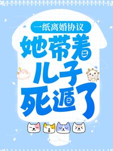 一纸离婚协议，她带着儿子死遁了