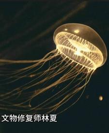 文物修复师林夏