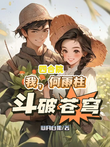 四合院：我，何雨柱，斗破苍穹
