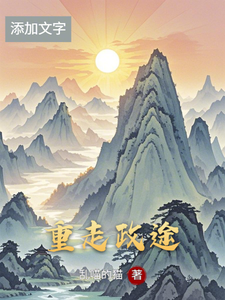 重走政途