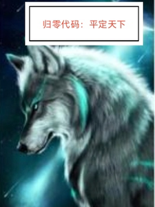 归零代码：平定天下