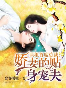 娇妻的贴身宠夫