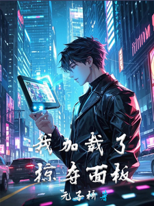 我加载了掠夺面板