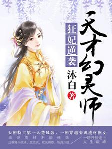 天才幻灵师