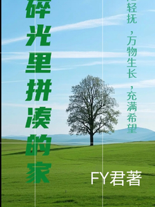 碎光里拼凑的家
