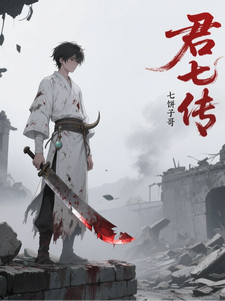 君七传