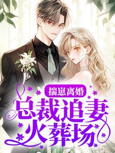 揣崽离婚，总裁追妻火葬场