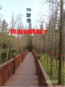 70穿书，我废物翻身了