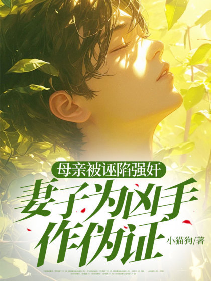 母亲被人诬陷，妻子却在为凶手作伪证