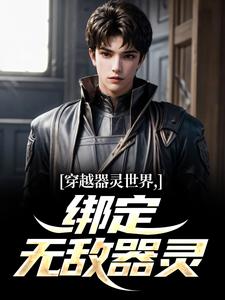 穿越器灵世界，绑定无敌器灵