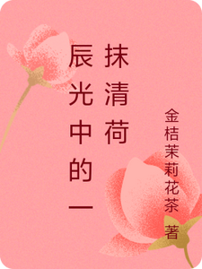 辰光中的一抹清荷
