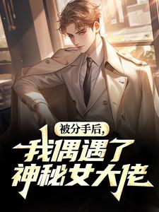被分手后，我偶遇了神秘女大佬