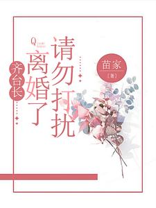 齐台长，离婚了请勿打扰