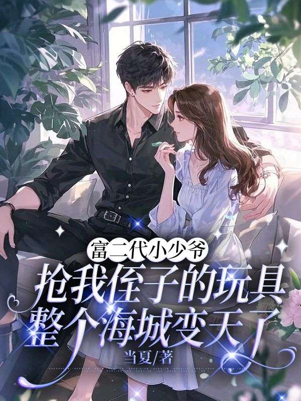 富二代小少爷抢我侄子的玩具，整个海城变天了
