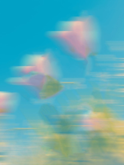 我向医院提出辞职时，白眼狼患者家属跪地求我留下