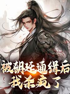 被朝廷通缉后，我杀疯了