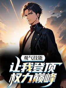 观气技能让我登顶权力巅峰